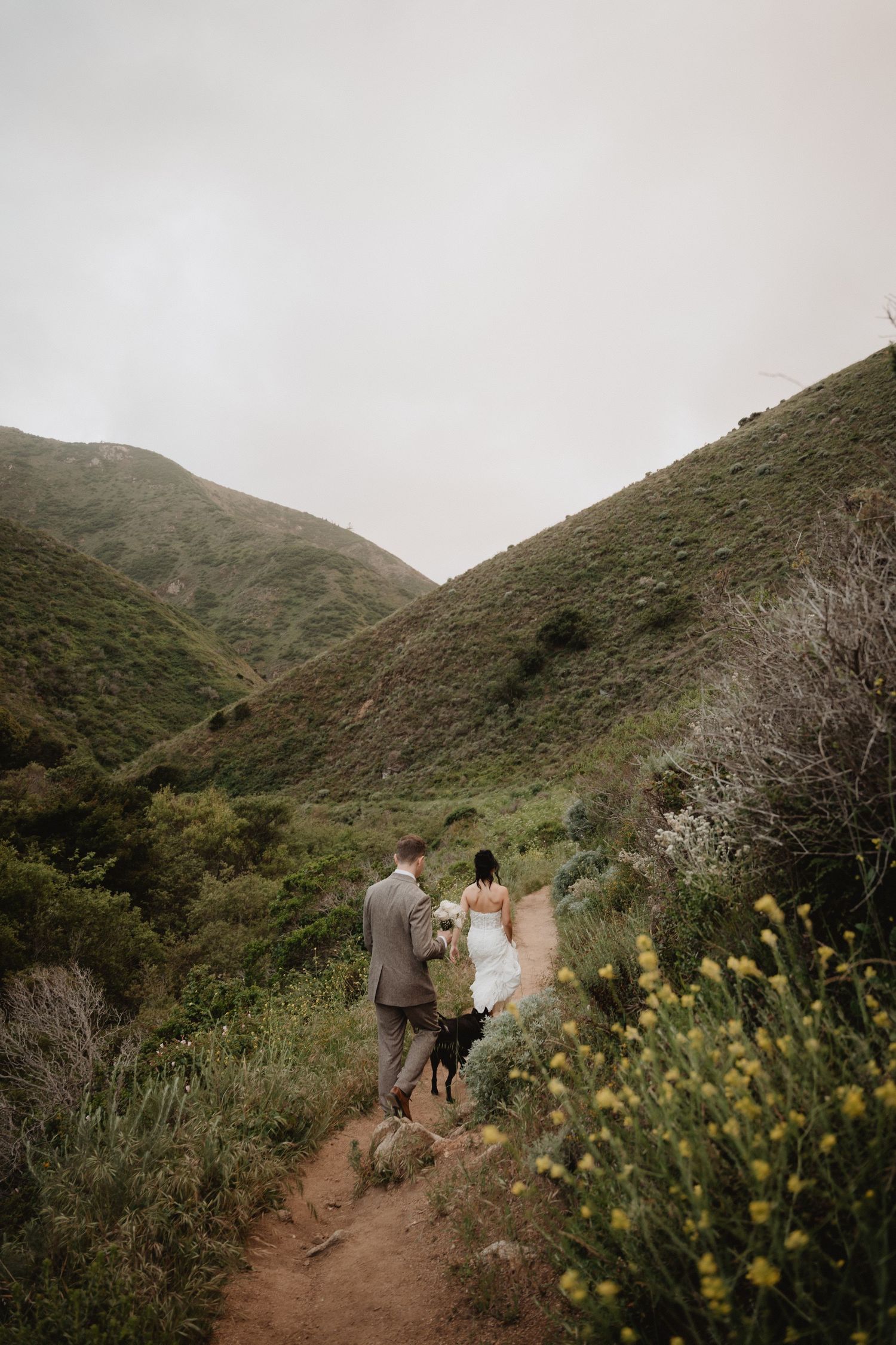 redwood elopement photos