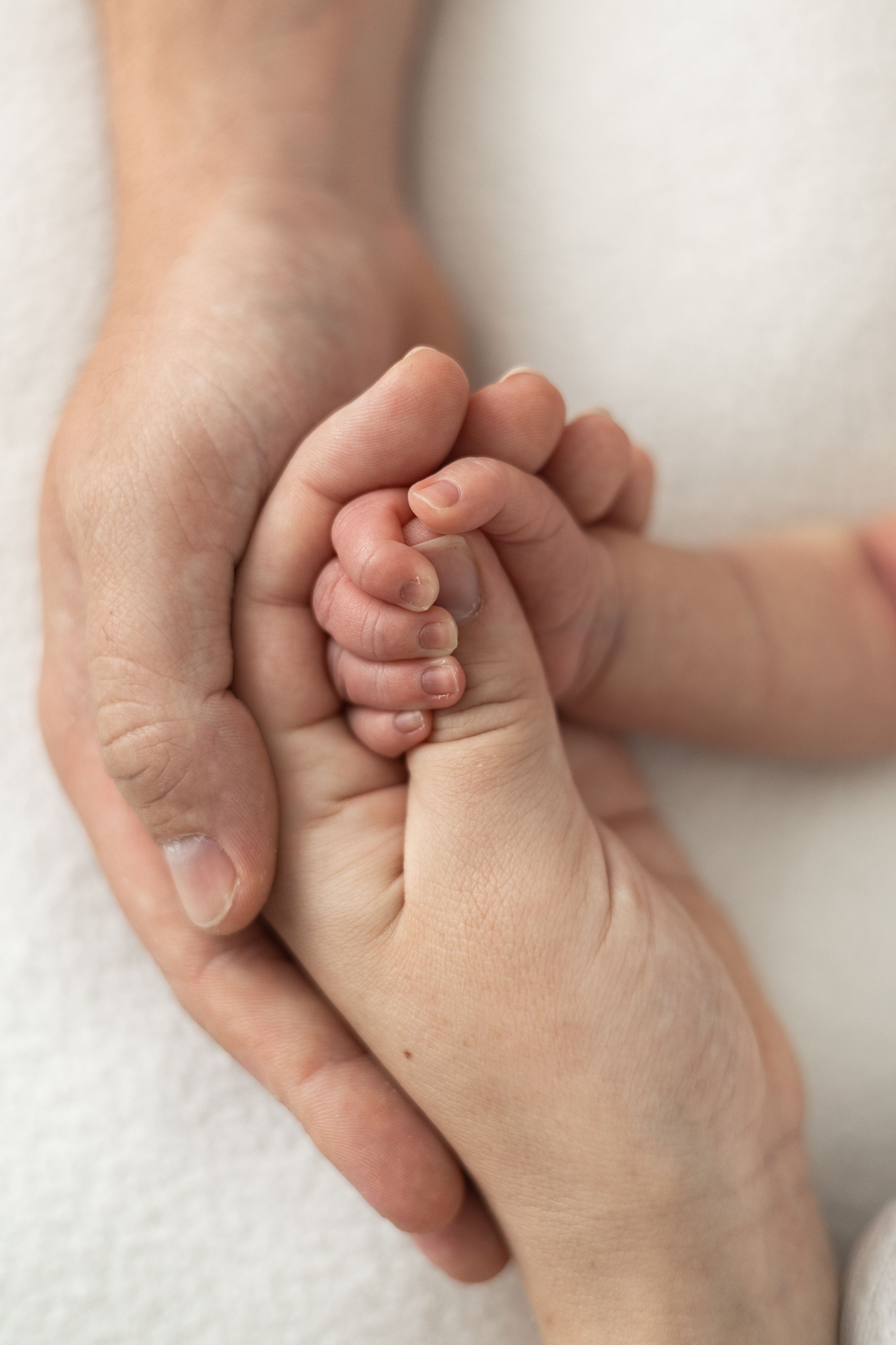 A newborn baby's tiny hand gently gripped by mum and dads hands on a soft white background Nottingham newborn photographer