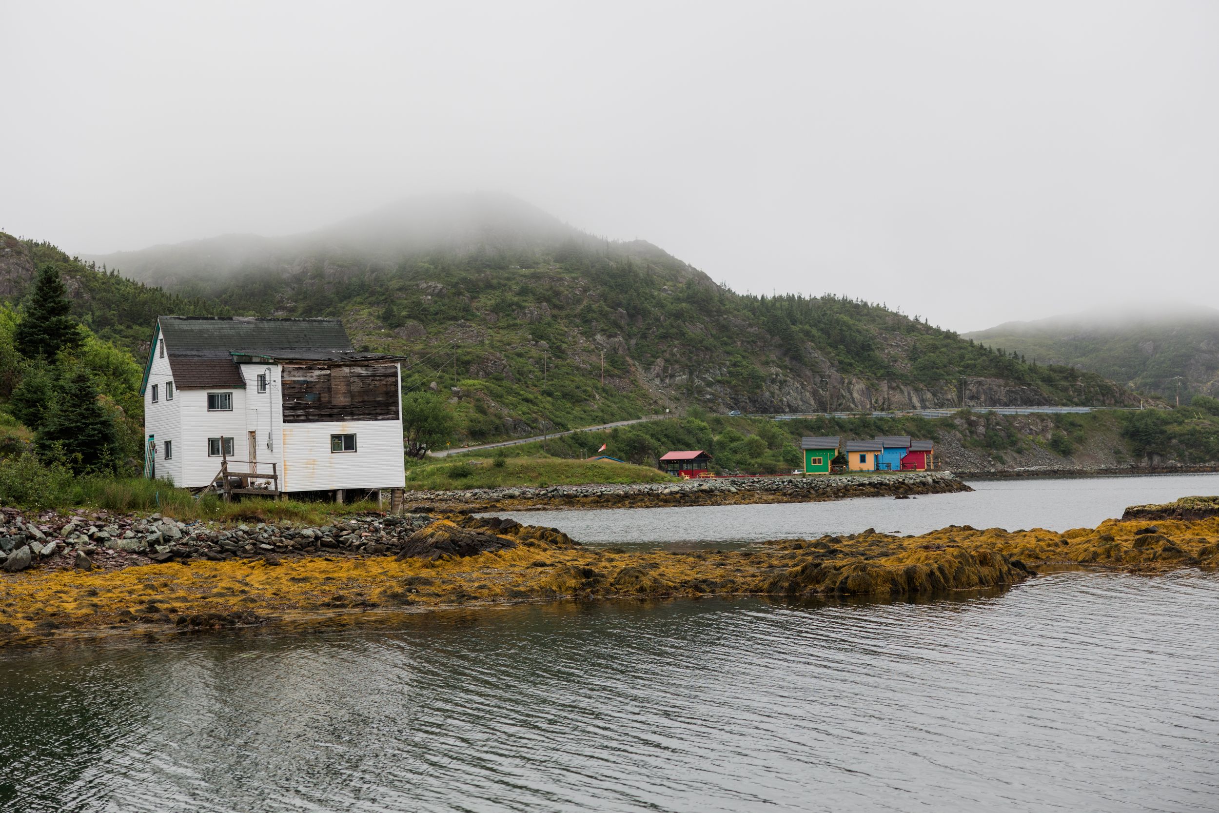Foggy coastal village with white house, colorful buildings, and lush green hills beside calm water in Newfoundland, Canada.