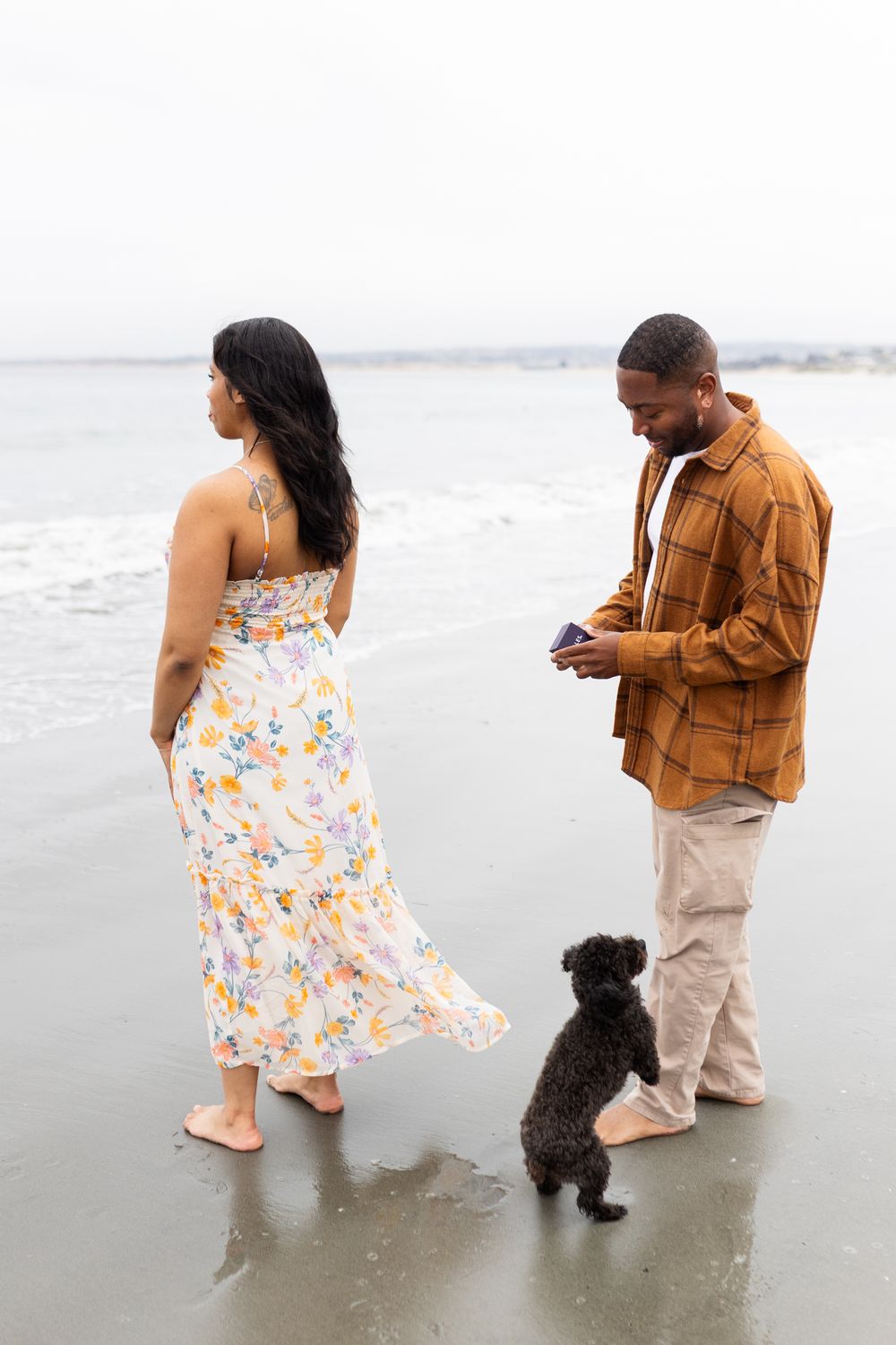 Couple with small black dog standing on beach shoreline, woman in floral dress, man in brown shirt holding phone.