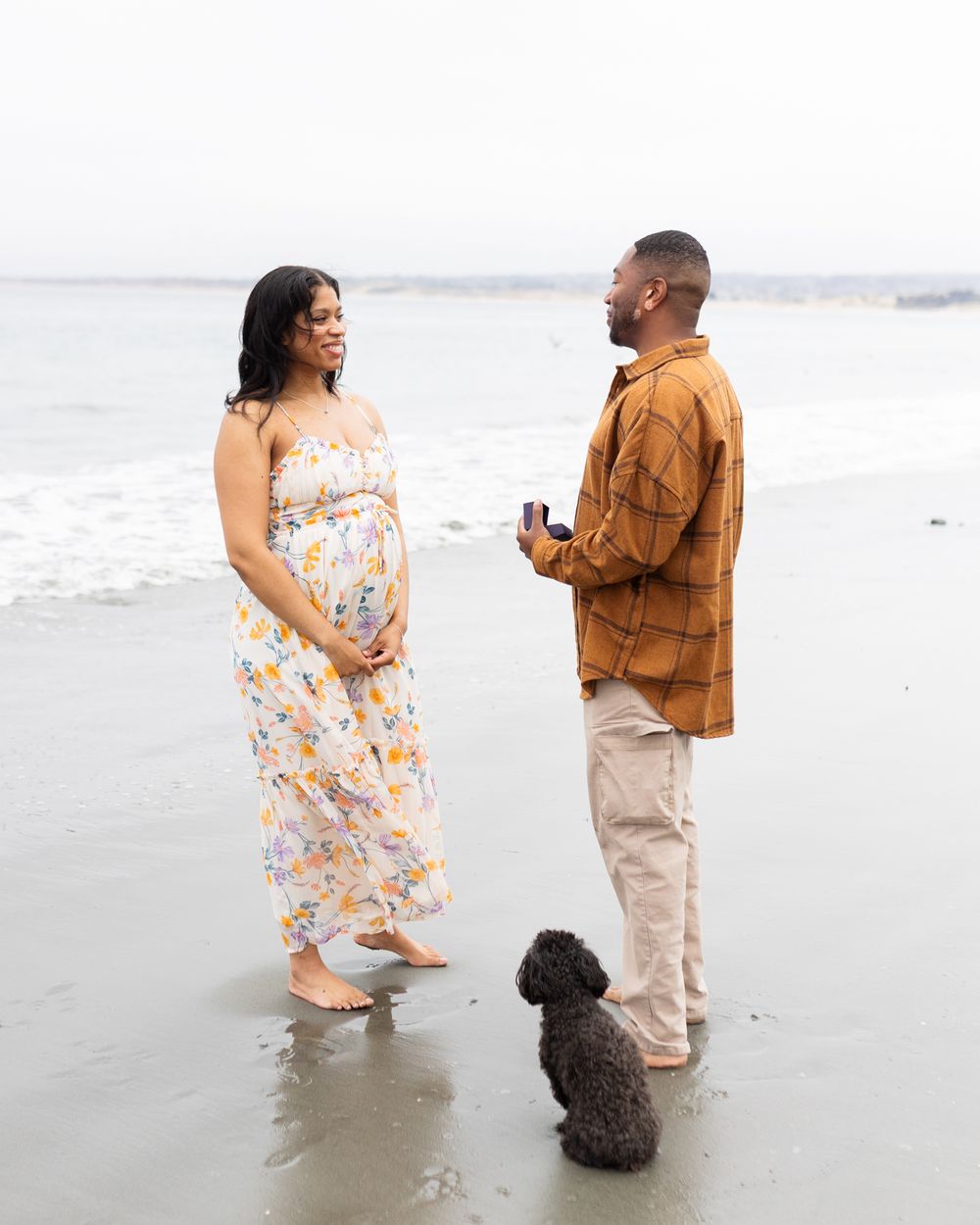 Pregnant woman in floral dress and man in brown shirt hold a ring box on a beach with a small black dog.