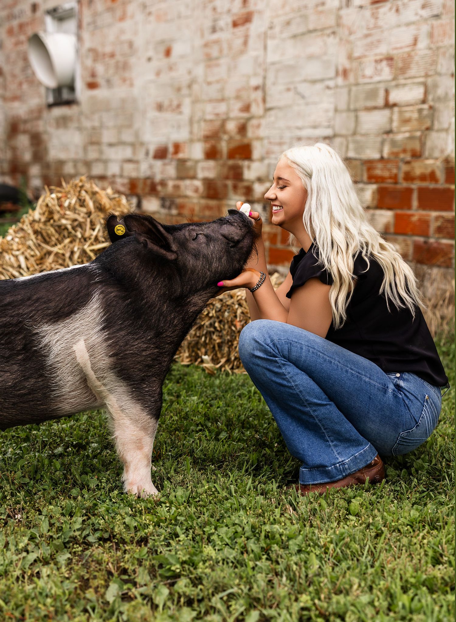 A playful pig interacts with a person in jeans while laying on green grass near a brick wall. Senior photography