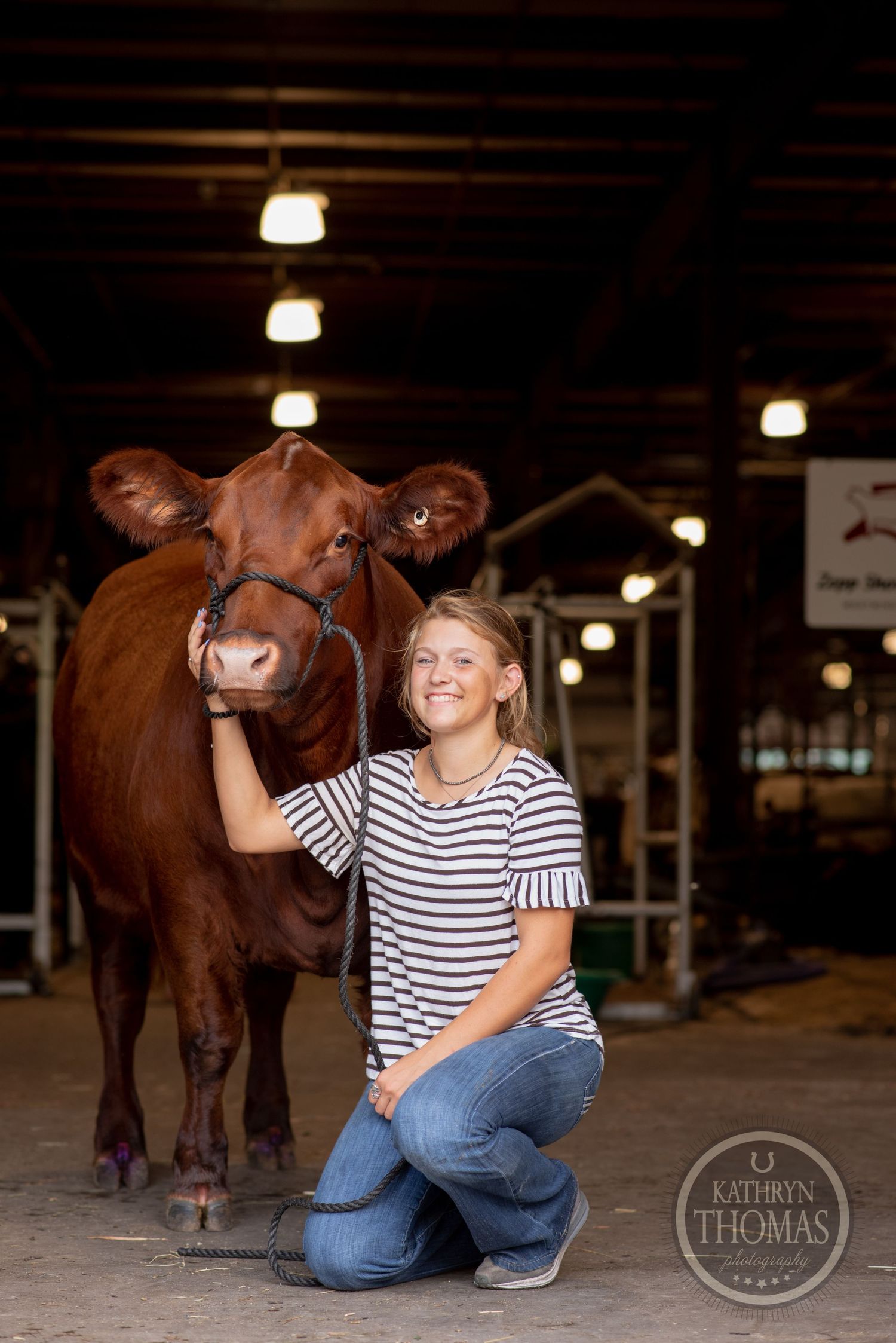 A person kneels beside their brown show cow in an indoor barn setting.
