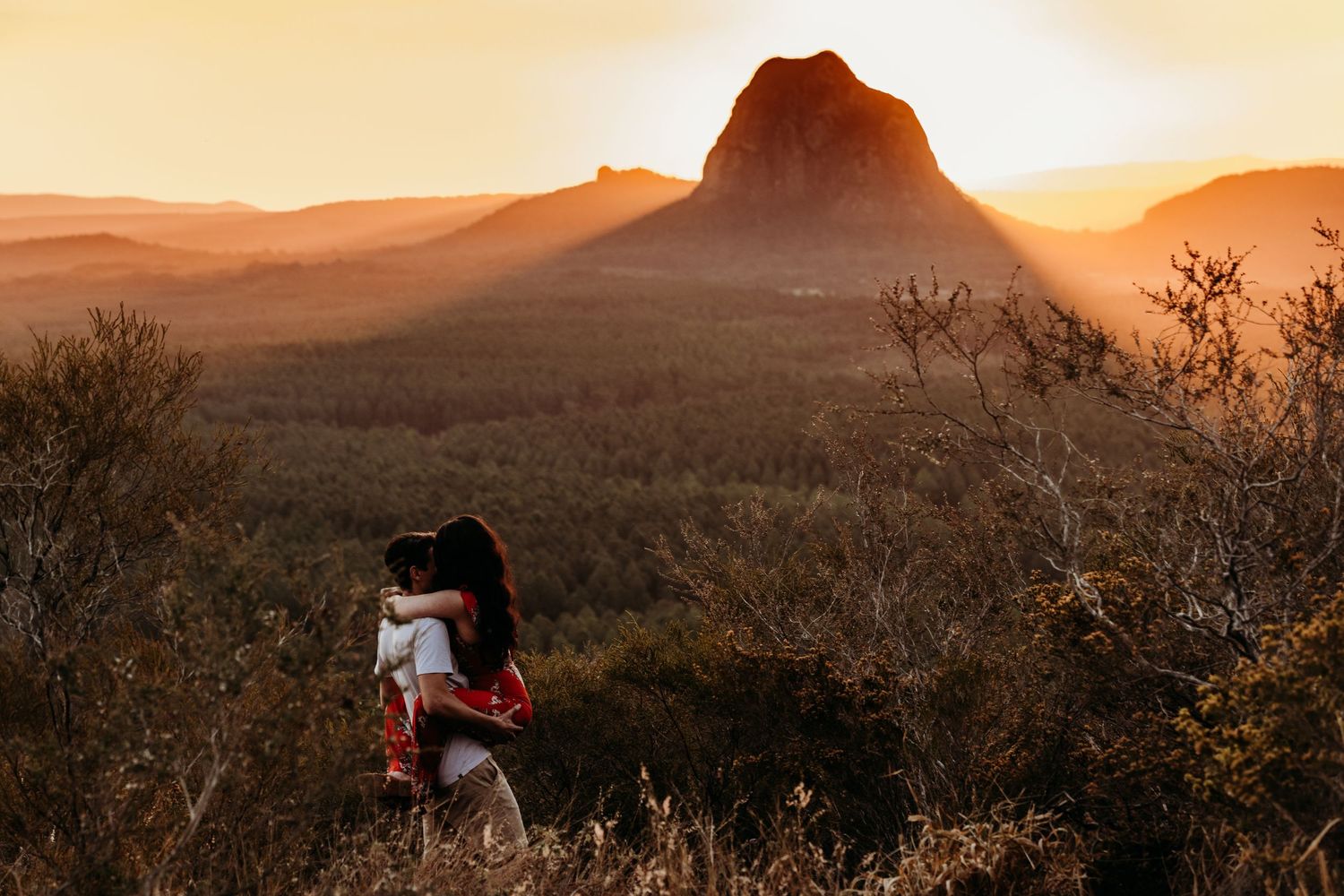 Silhouette captures sunset view of mountain peak through desert brush and foliage.