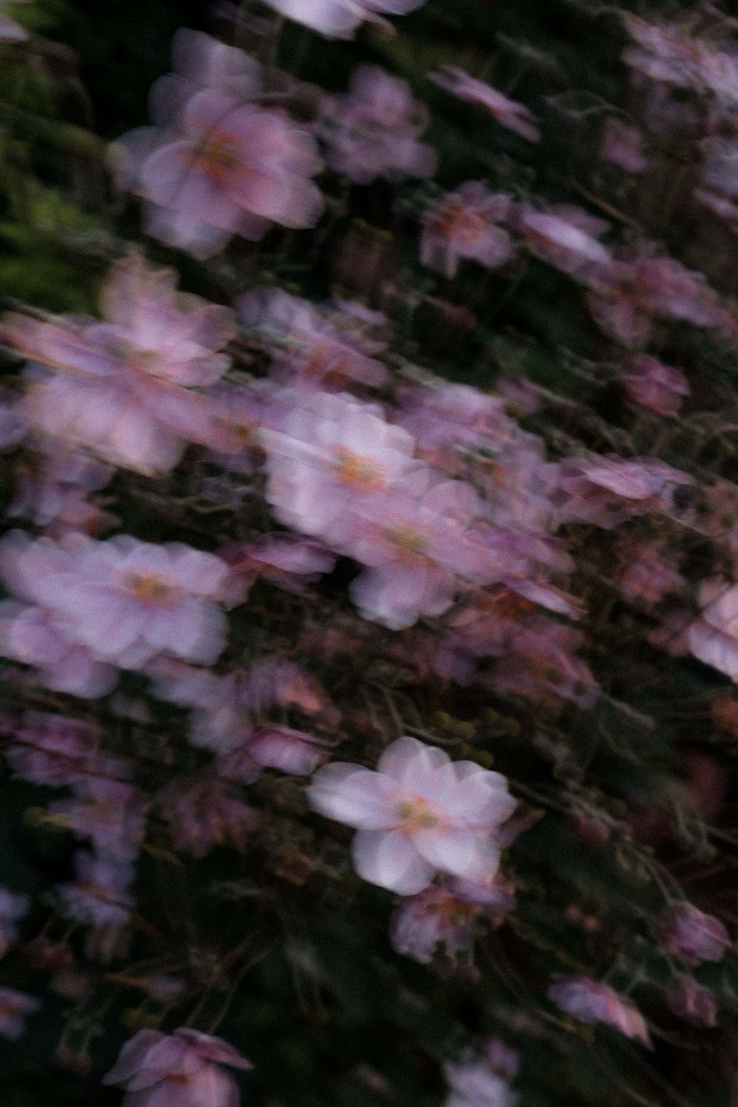photographe-mariage-paris-fleurs