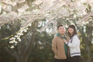A couple poses under blooming cherry blossom trees in springtime.