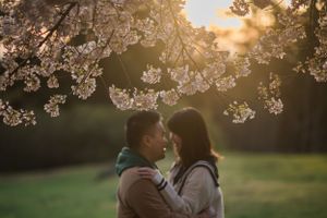 A romantic moment under cherry blossoms at sunset in a park setting.