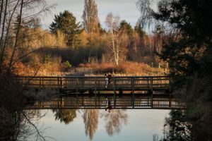 A wooden footbridge reflects perfectly in still water surrounded by autumn trees at sunset.
