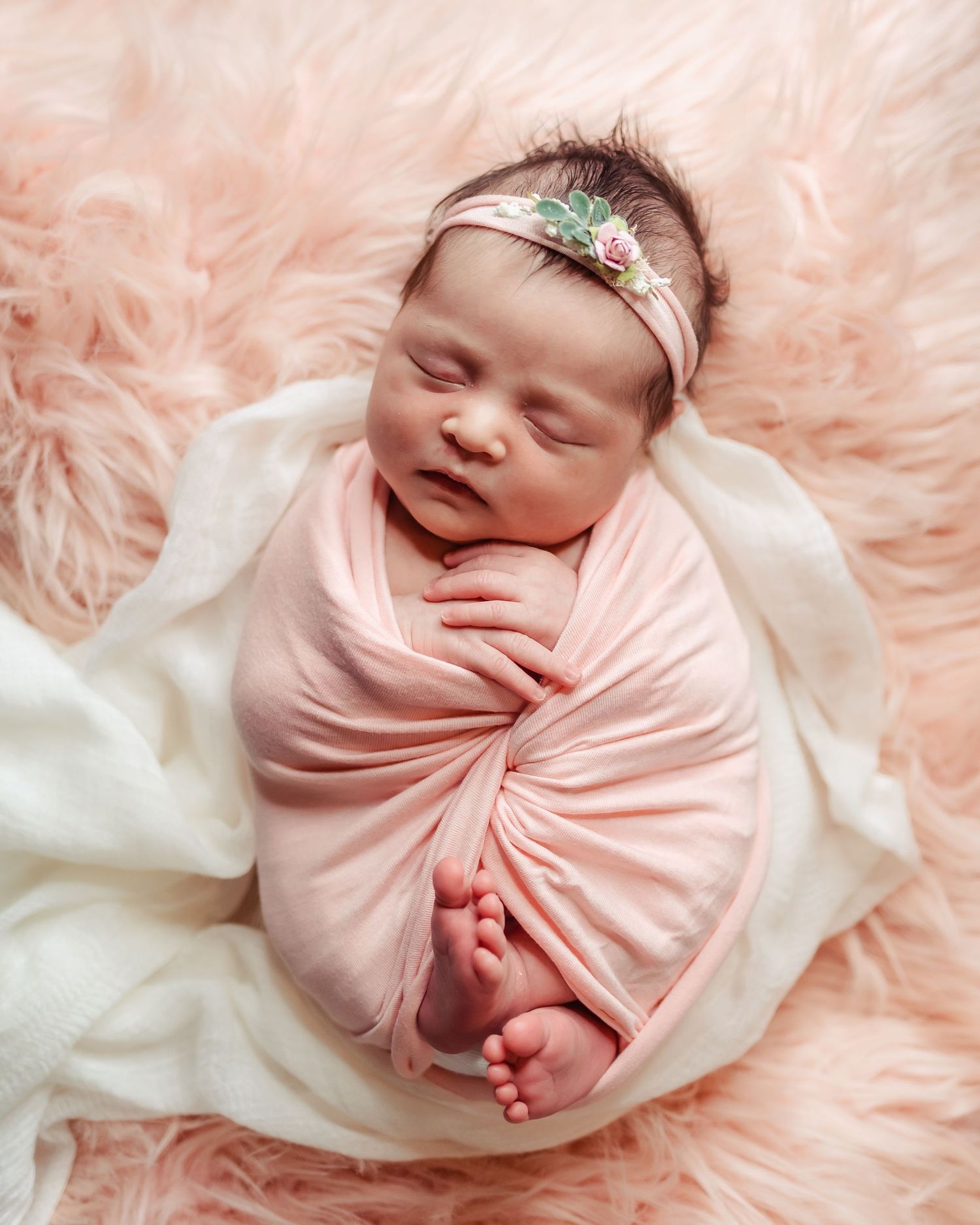 Posed Newborn Photographer based in Denver Colorado offering in Studio Newborn Photo sessions. Centennial Colorado photography studio
