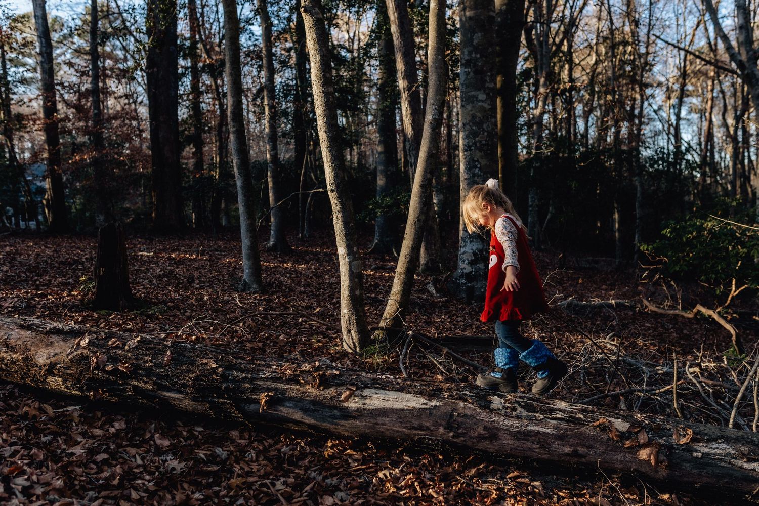 girl walking on log with a beam of sunlight on her face in suffolk, virginia