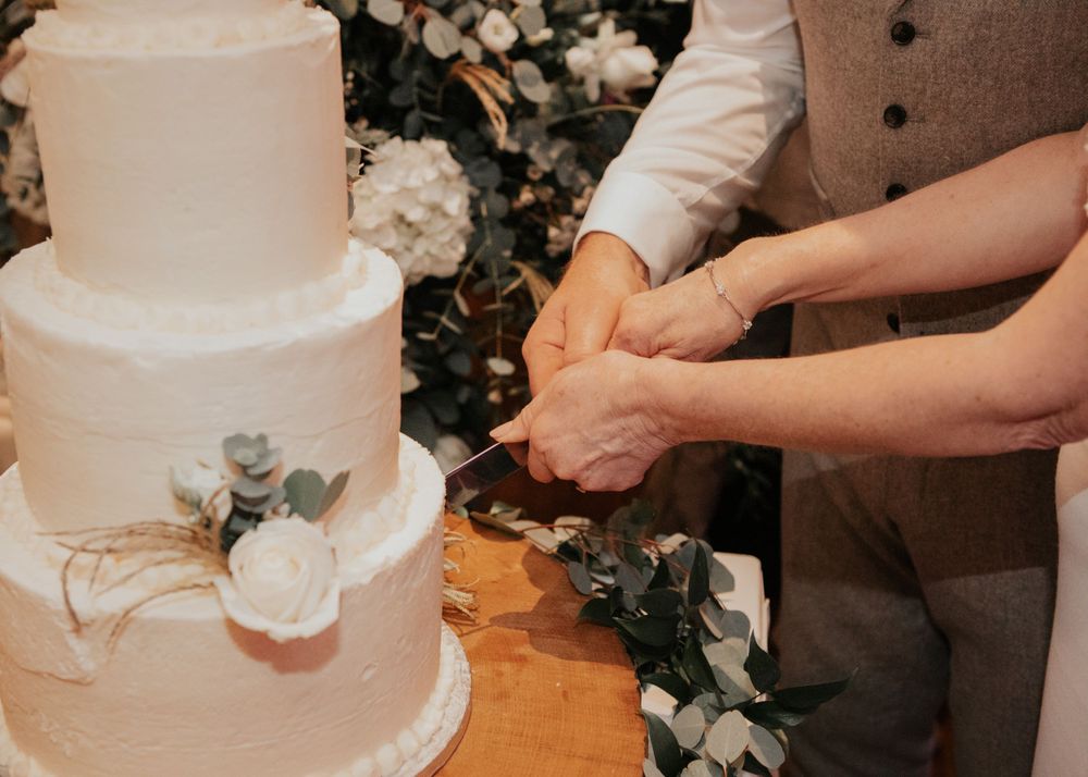bride and groom cut the cake at a wedding at St Elizabeth's House in Plympton