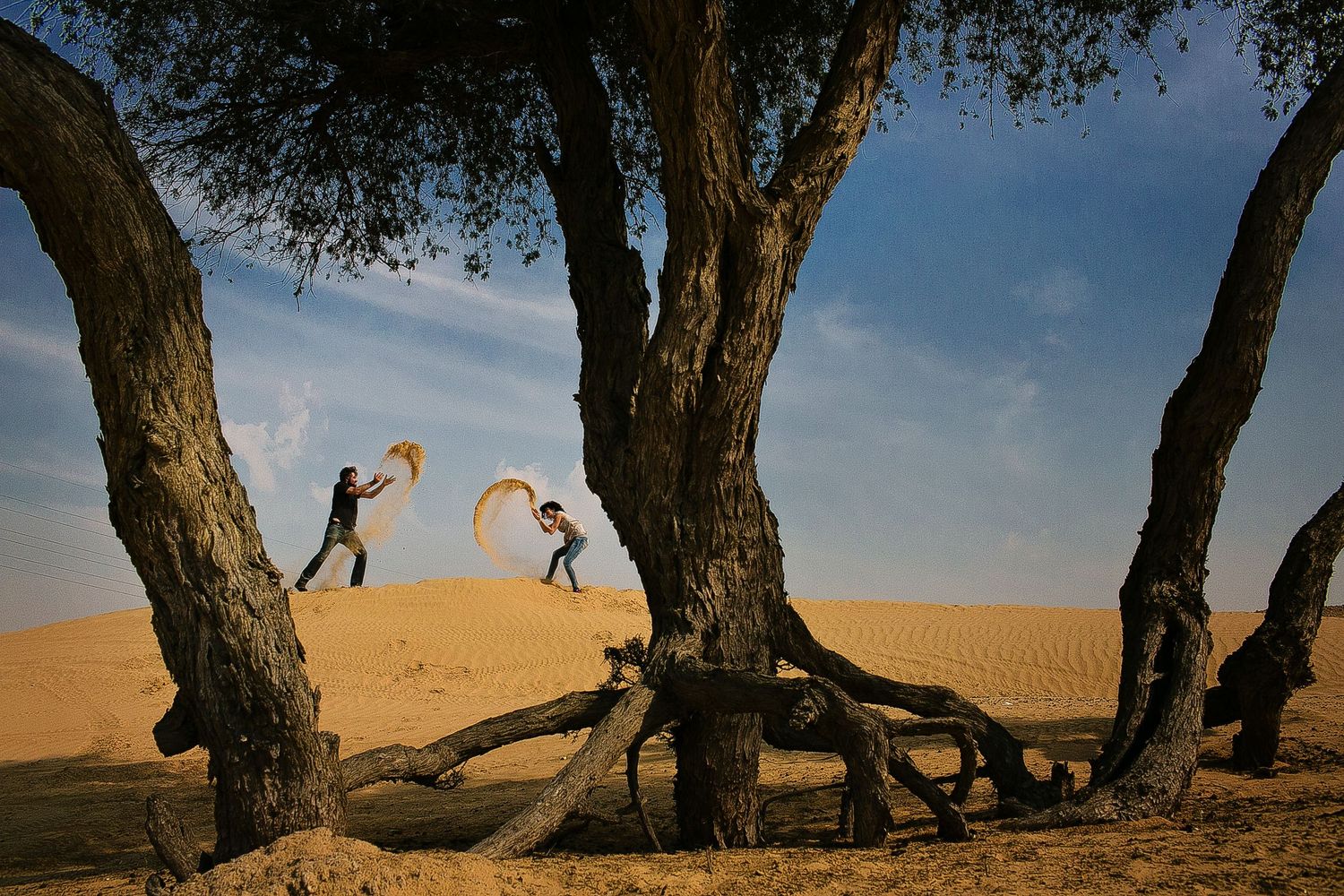 Silhouettes of people jumping between trees against a desert sunset backdrop.