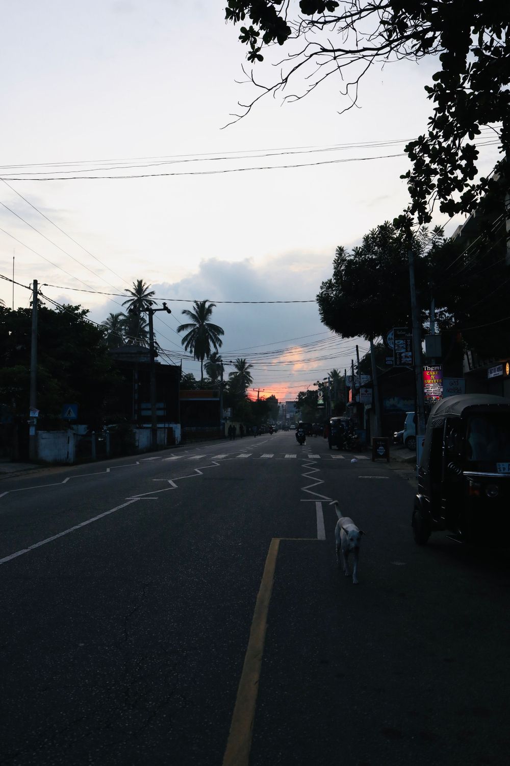 Empty suburban street at dusk with palm trees and power lines silhouetted against colorful sky.