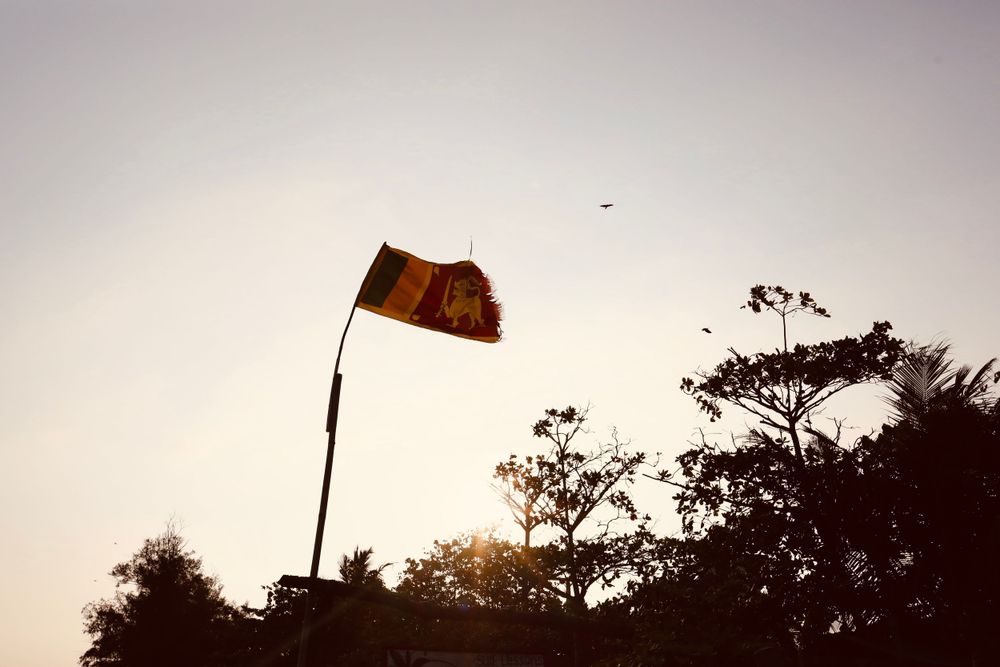Silhouettes of trees and flags against dramatic sunset sky.