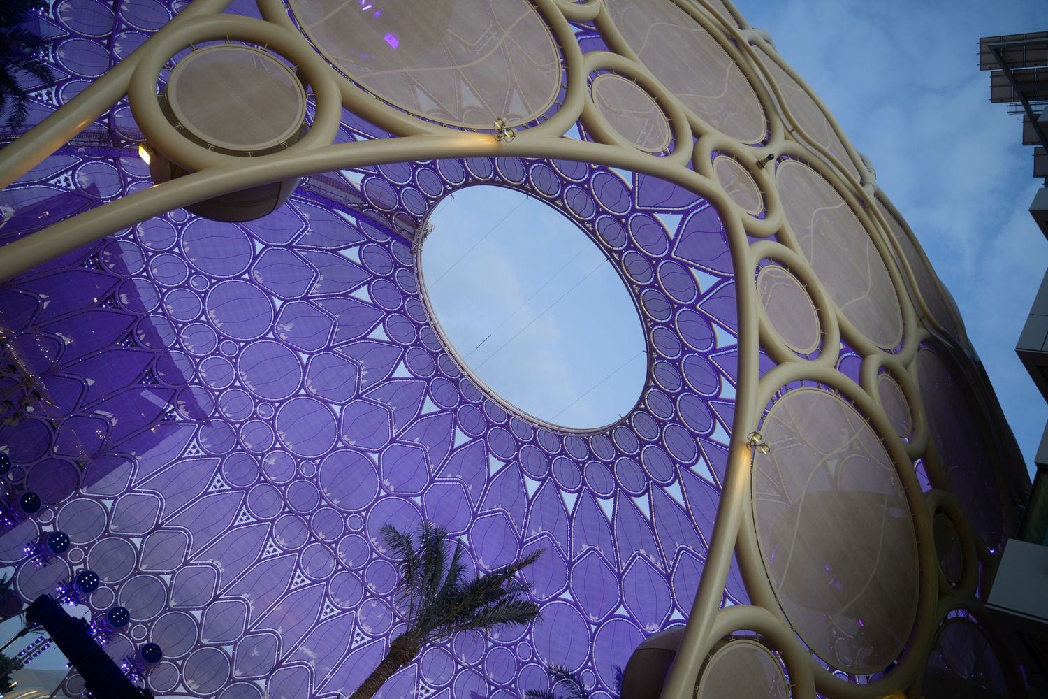 Looking up at a stunning purple illuminated dome with circular geometric lattice pattern design.