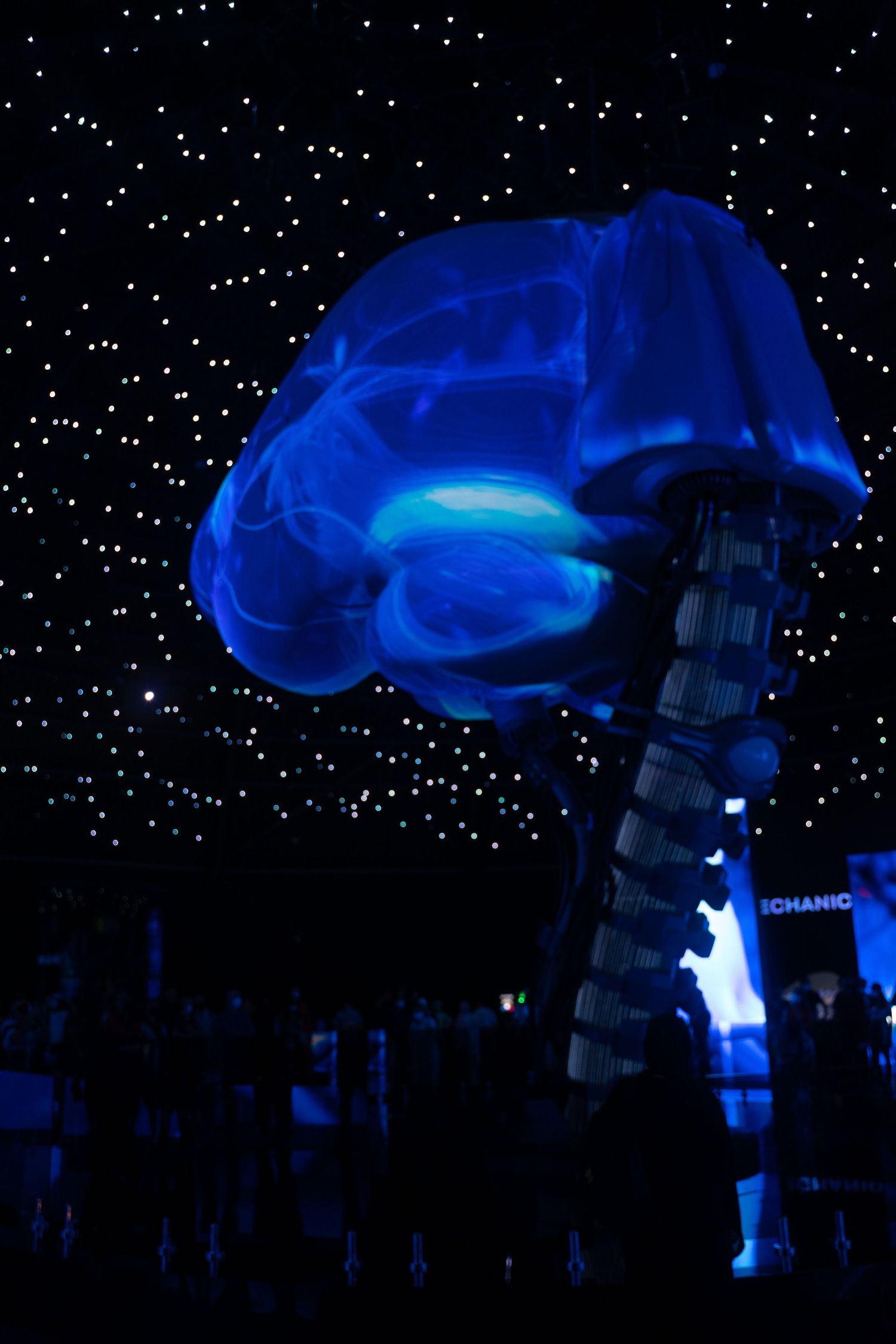 Glowing blue jellyfish art installation under a starry ceiling at a Dubai exhibition.