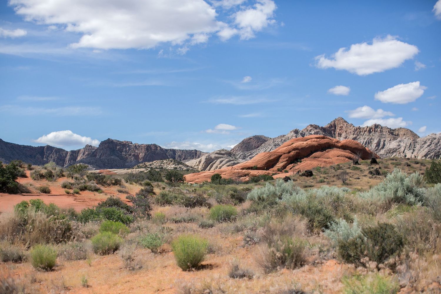 Landscape during Snow Canyon State Park adventure destination wedding by Laura Leigh Images