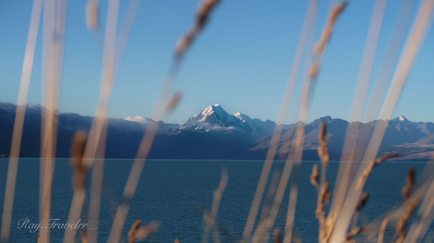 Snow-capped mountain peak viewed through tall grass with a blue lake in the foreground.