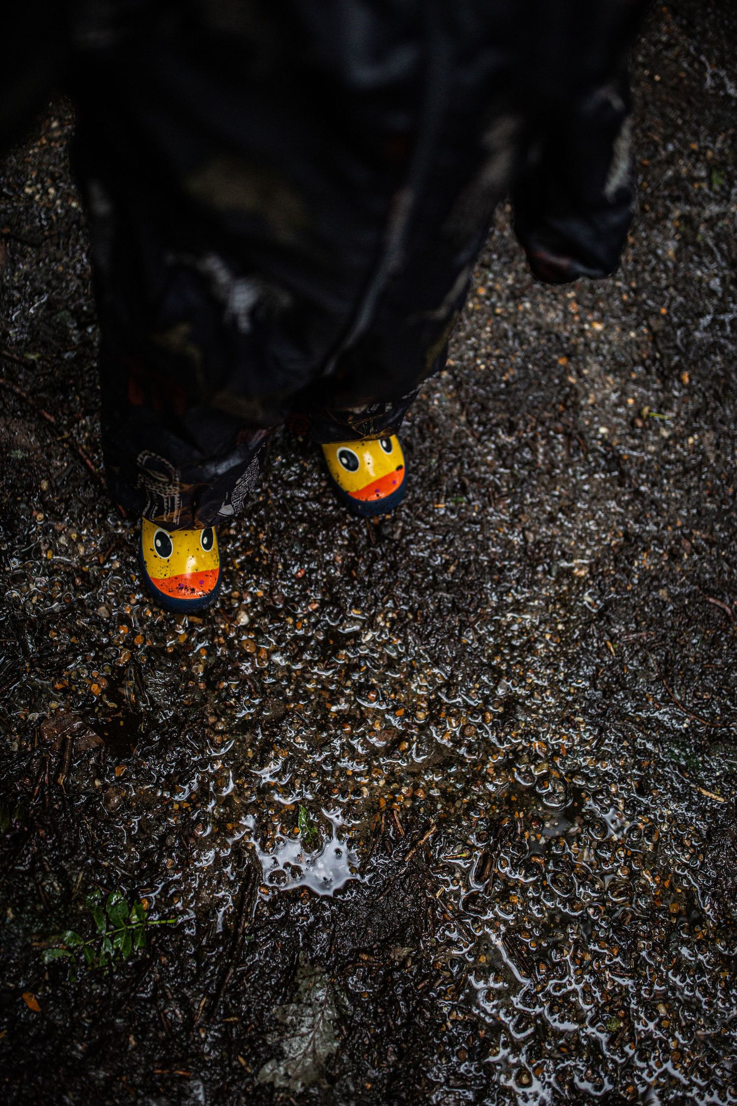 Yellow rubber duck rain boots splashing in puddle on wet ground.