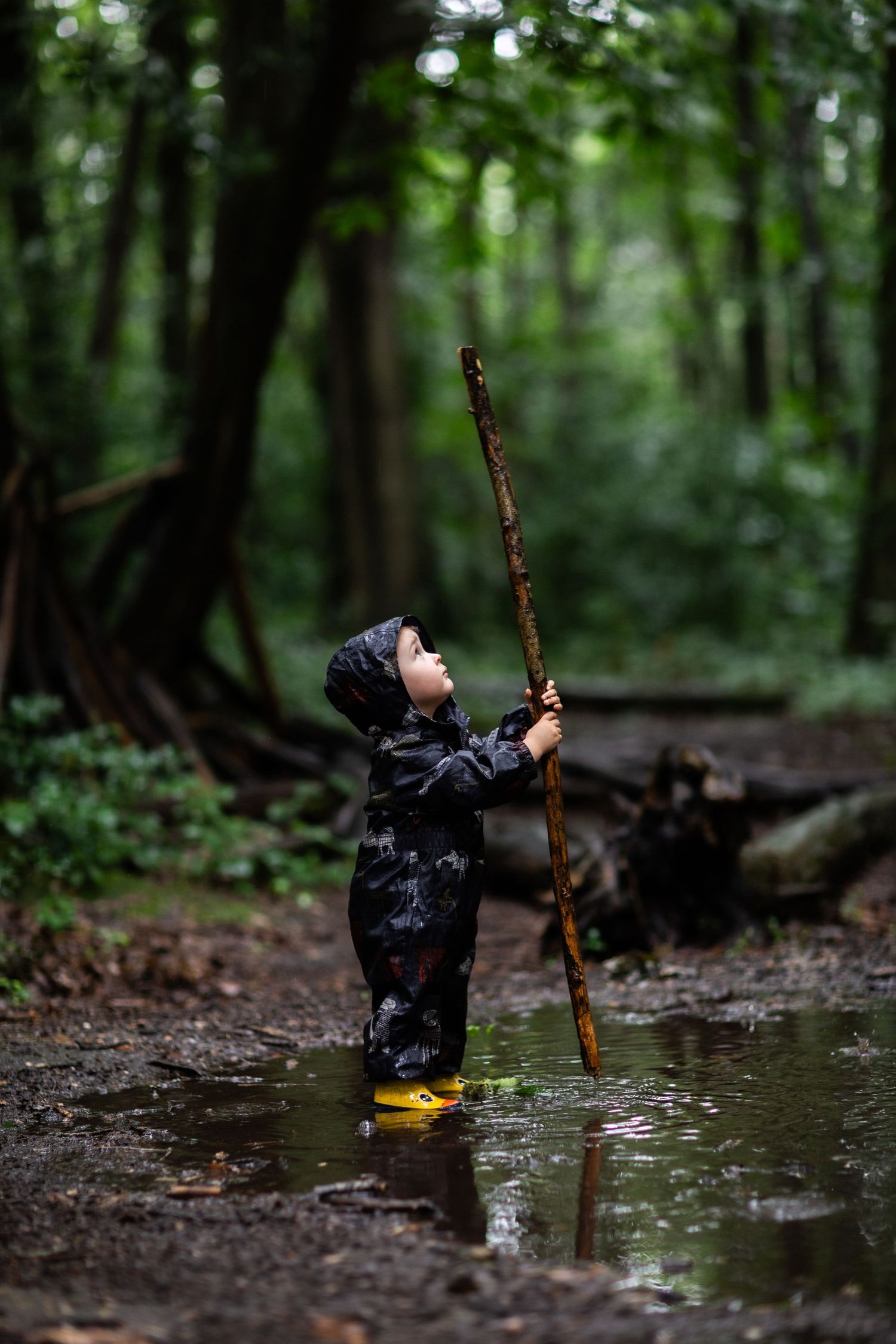 Small explorer in rain gear holds walking stick while standing in forest stream wearing yellow boots.
