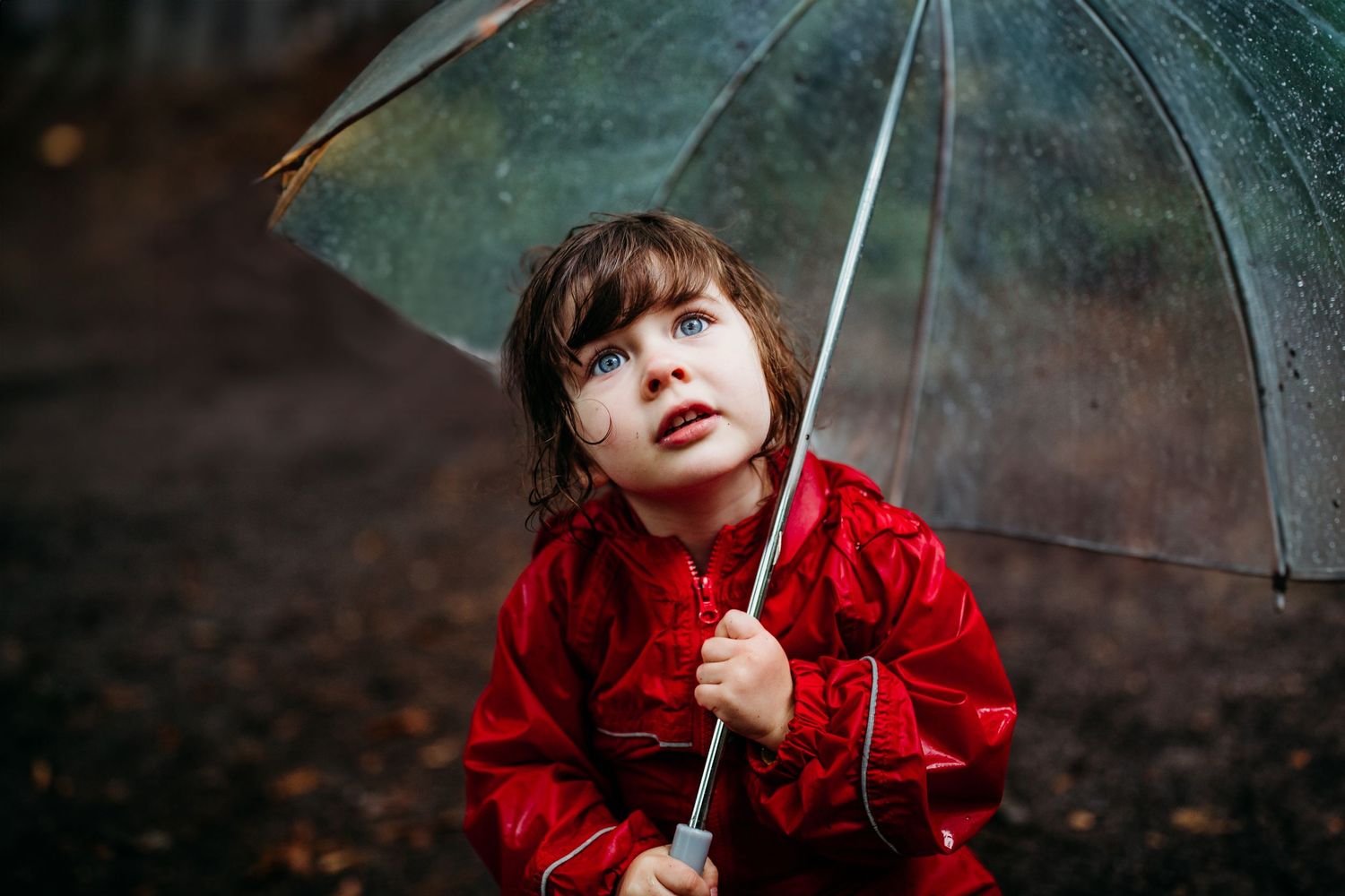 Child holding clear umbrella in red raincoat during autumn rain.