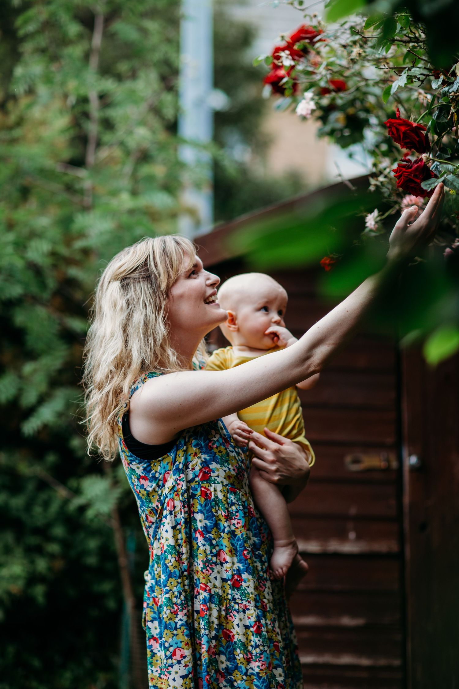 Summer garden scene with floral dress and reaching for red berries.