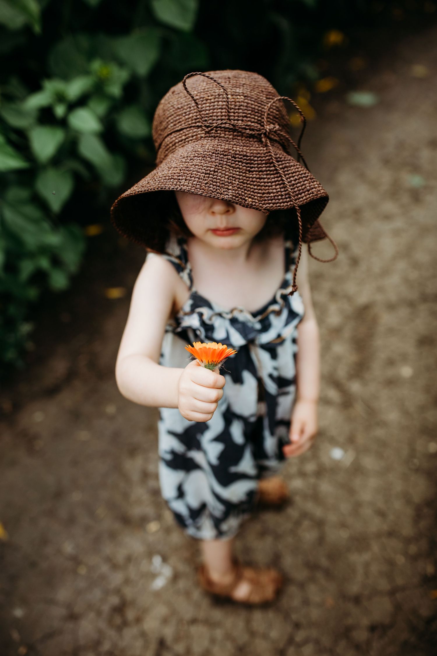 Small child in patterned dress and brown sun hat holding an orange flower in a garden setting.