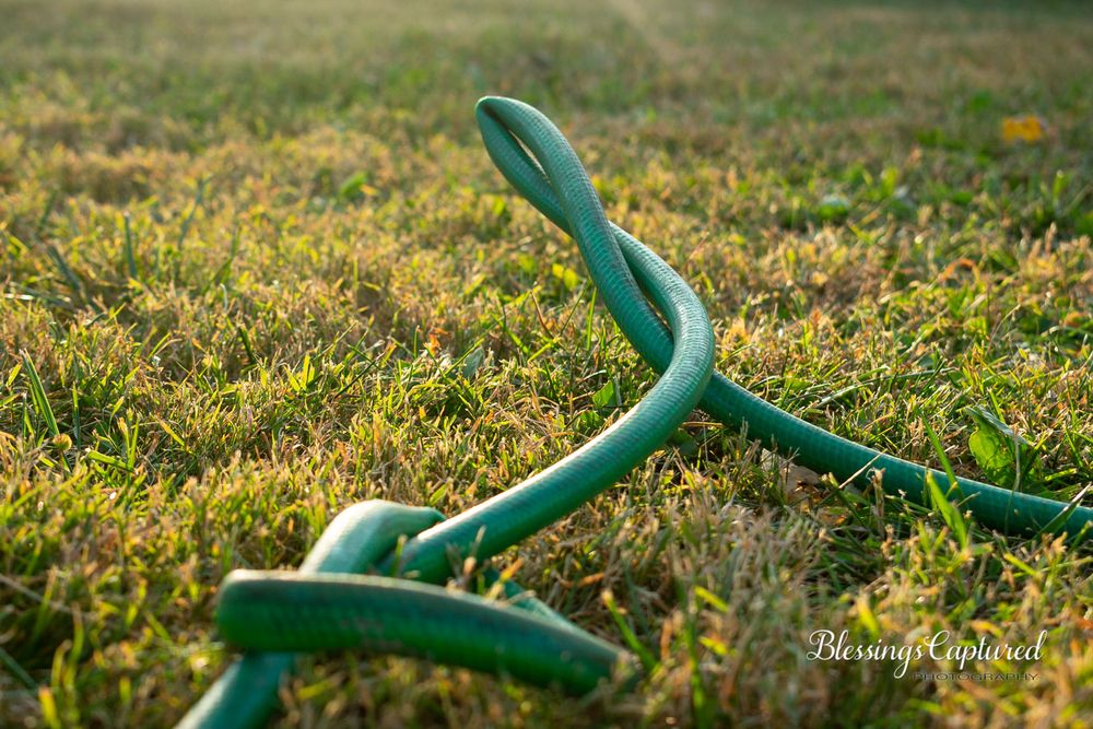 kinked hose