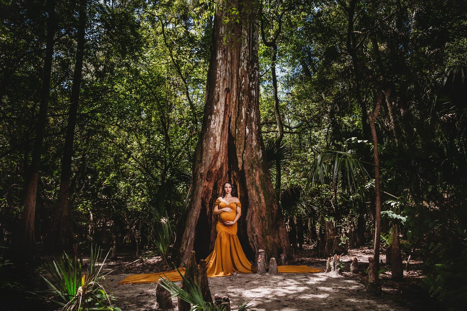 Portrait against massive redwood tree trunk in sunlit forest setting.