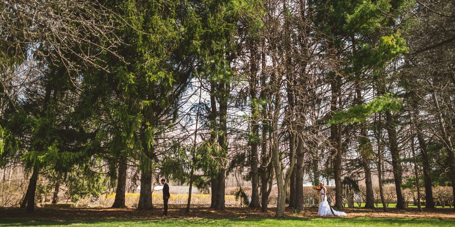 Wedding spread example