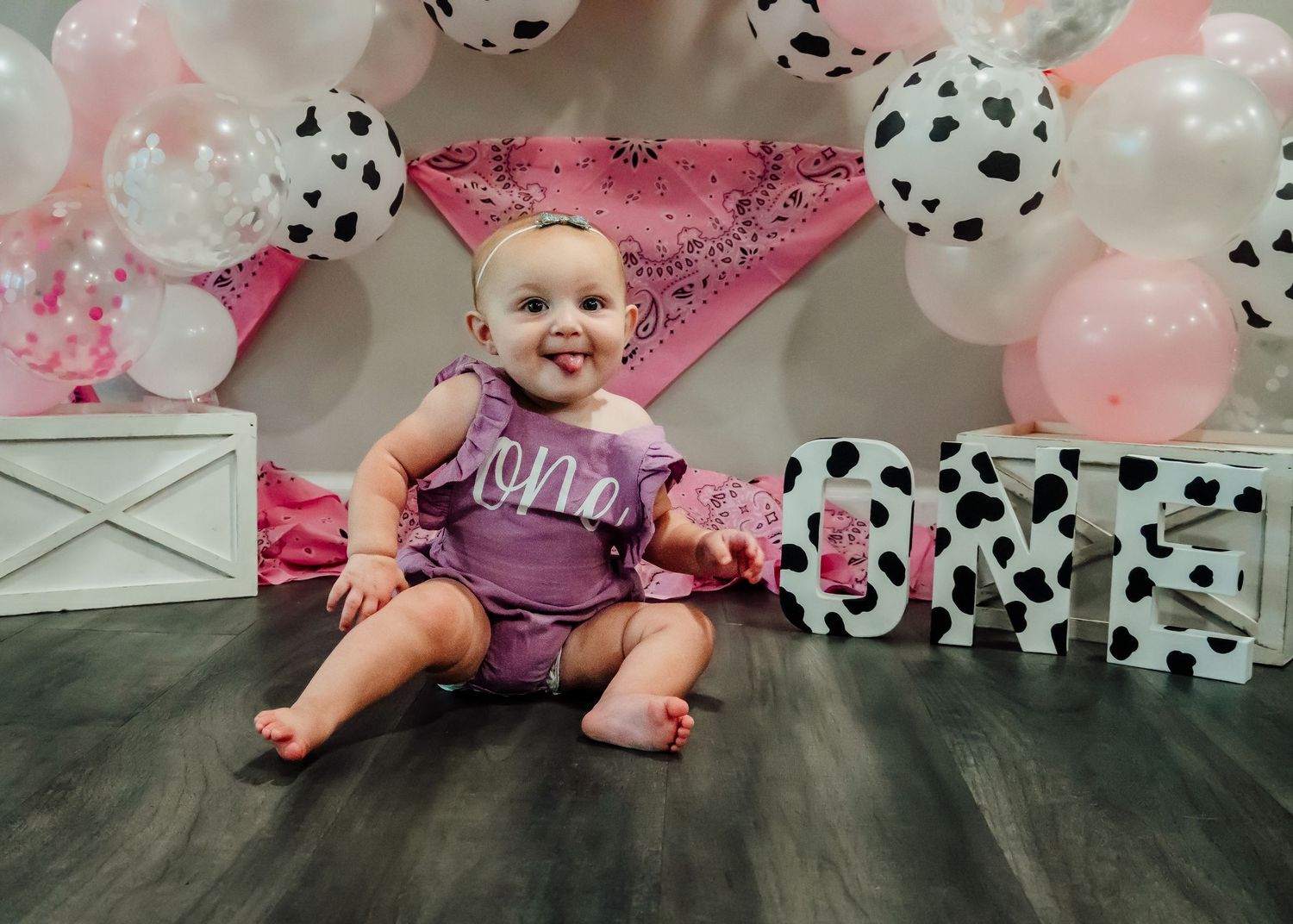 pink cow themed first birthday session
