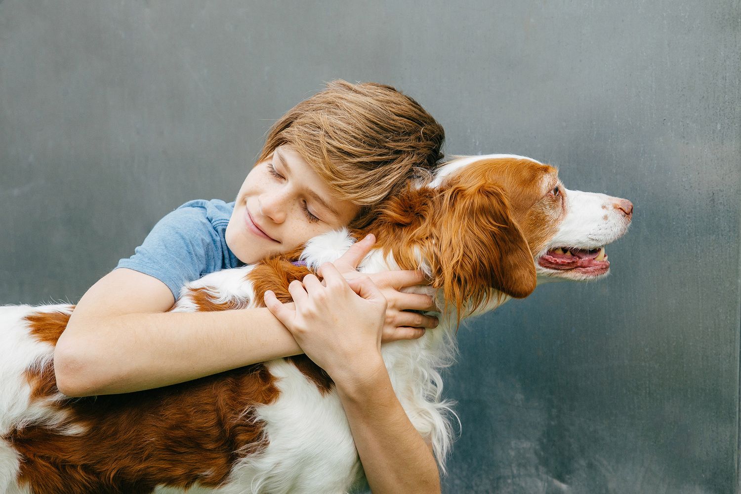 Helen Green Dog Photography Geelong Region