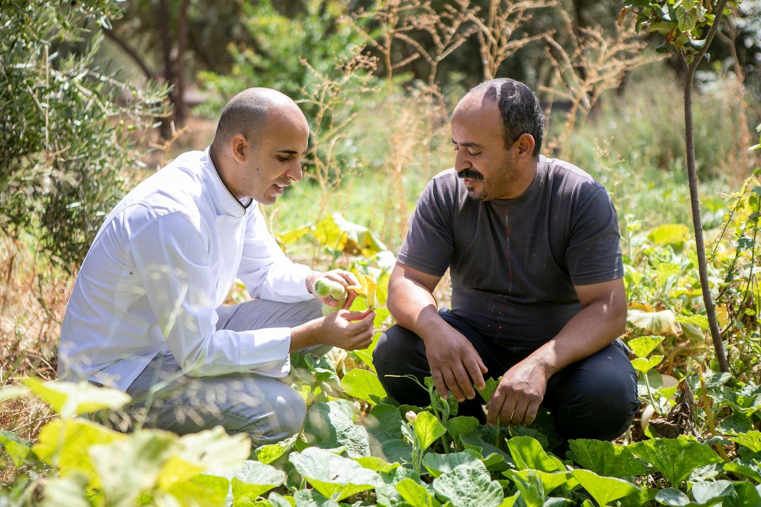 Two people examining fresh produce in a lush garden setting.