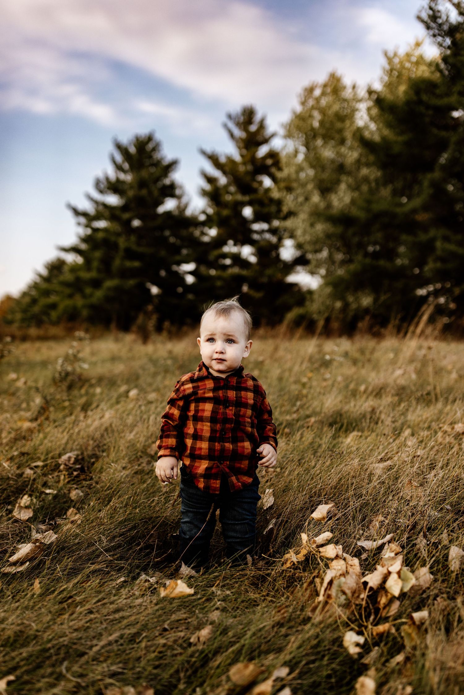 Luxury Family Photographer Marion Indiana