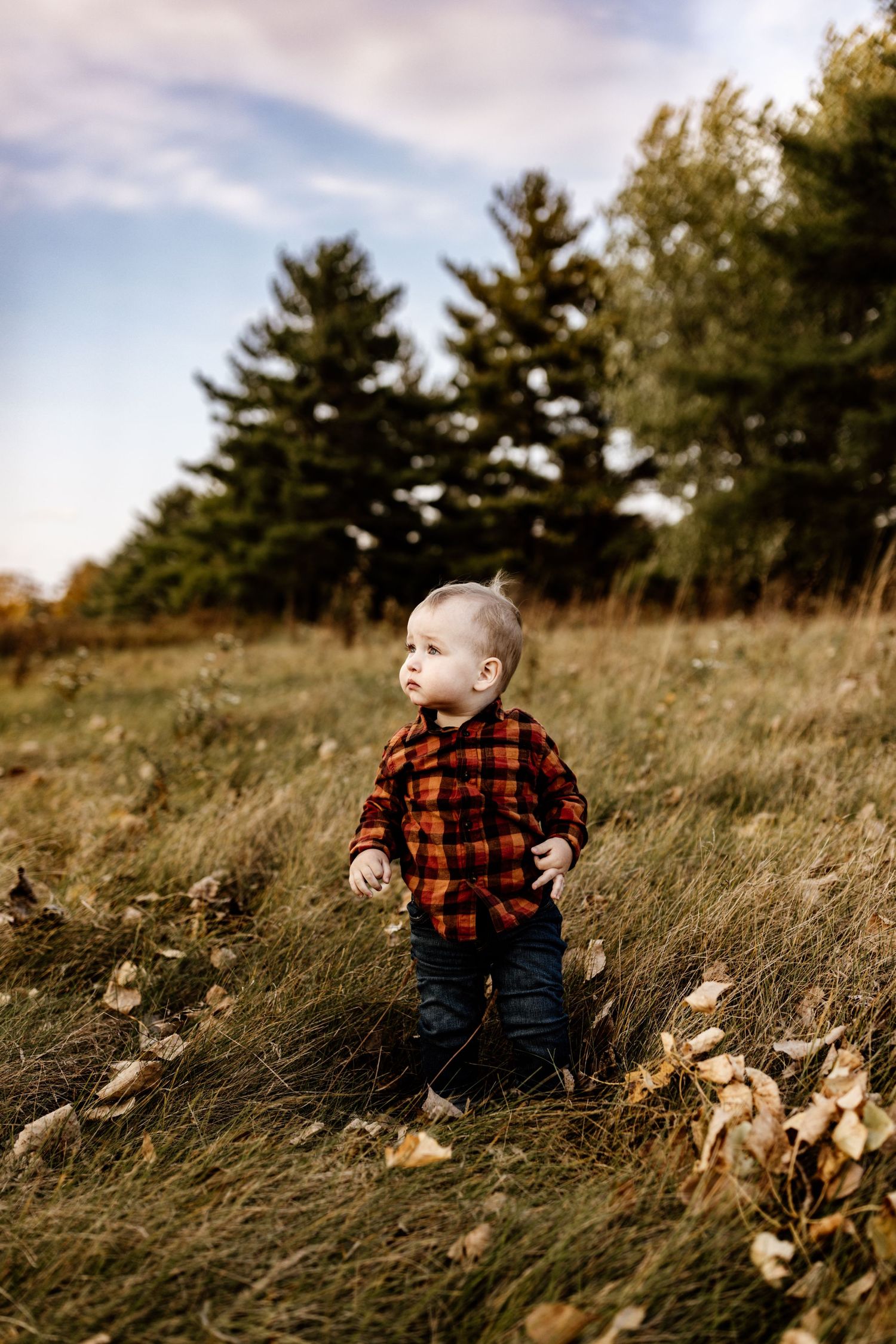 Luxury Family Photographer Marion Indiana