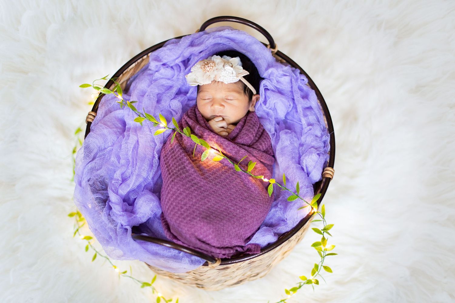 Newborn photo session Chicago and suburbs