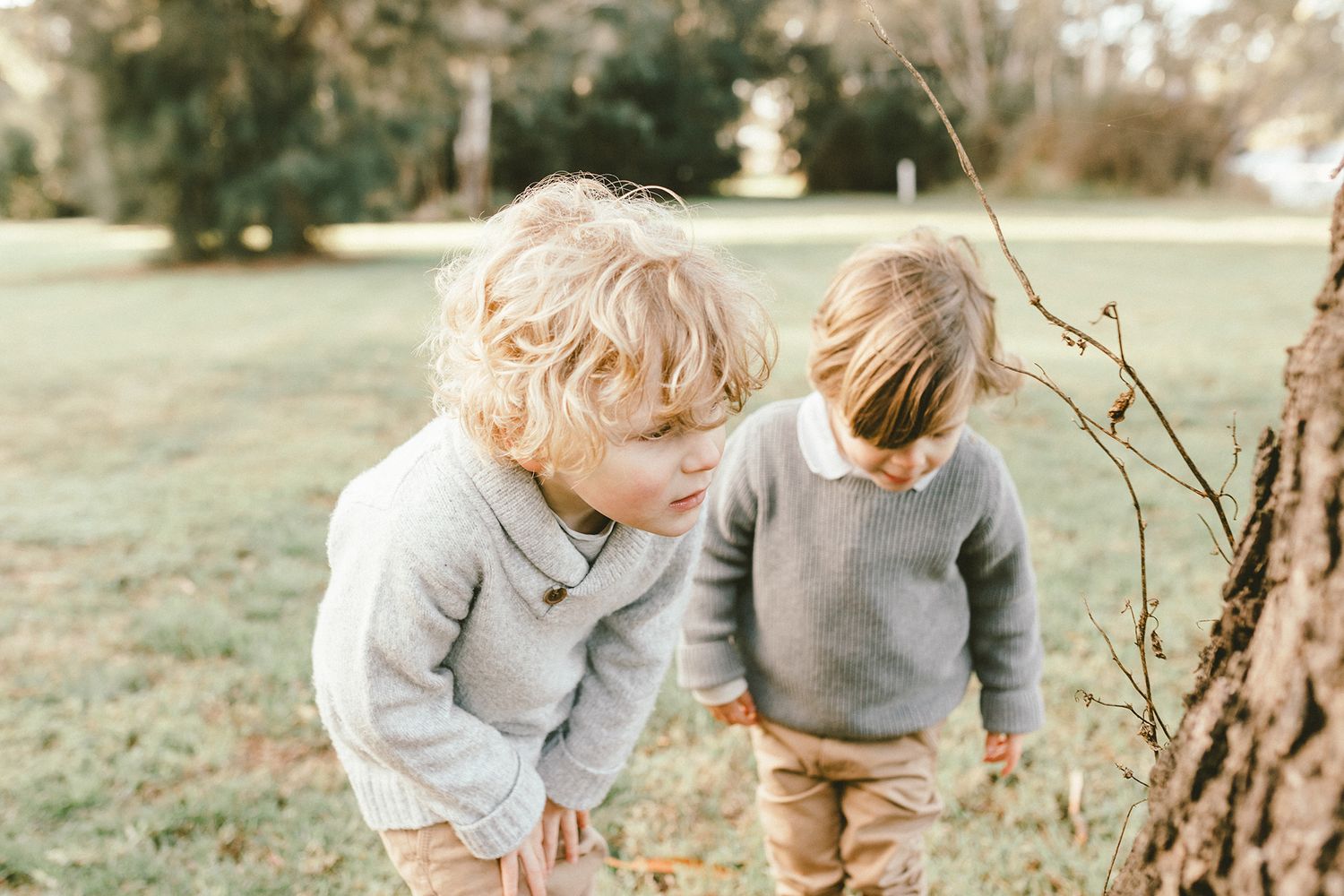Two young siblings play and explore together near a large tree trunk in a sunlit field.