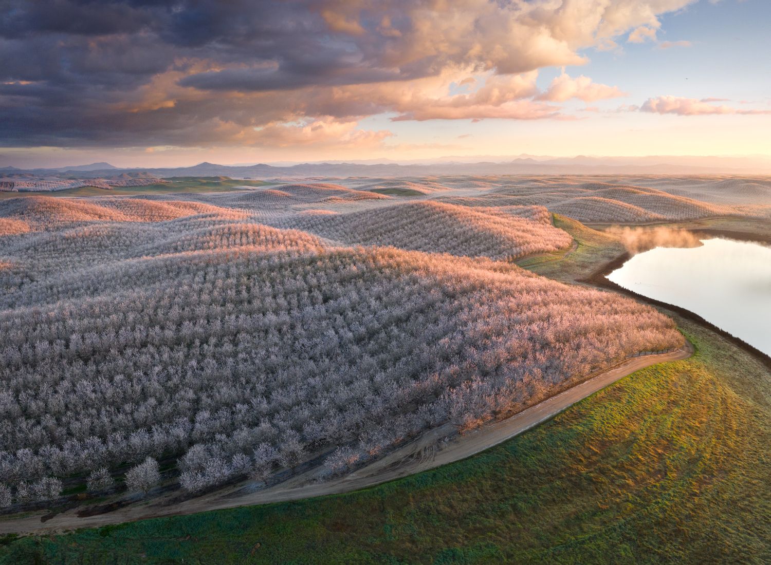 Aerial view of terraced hillside orchards and reservoir at sunset with dramatic orange clouds in rural landscape.