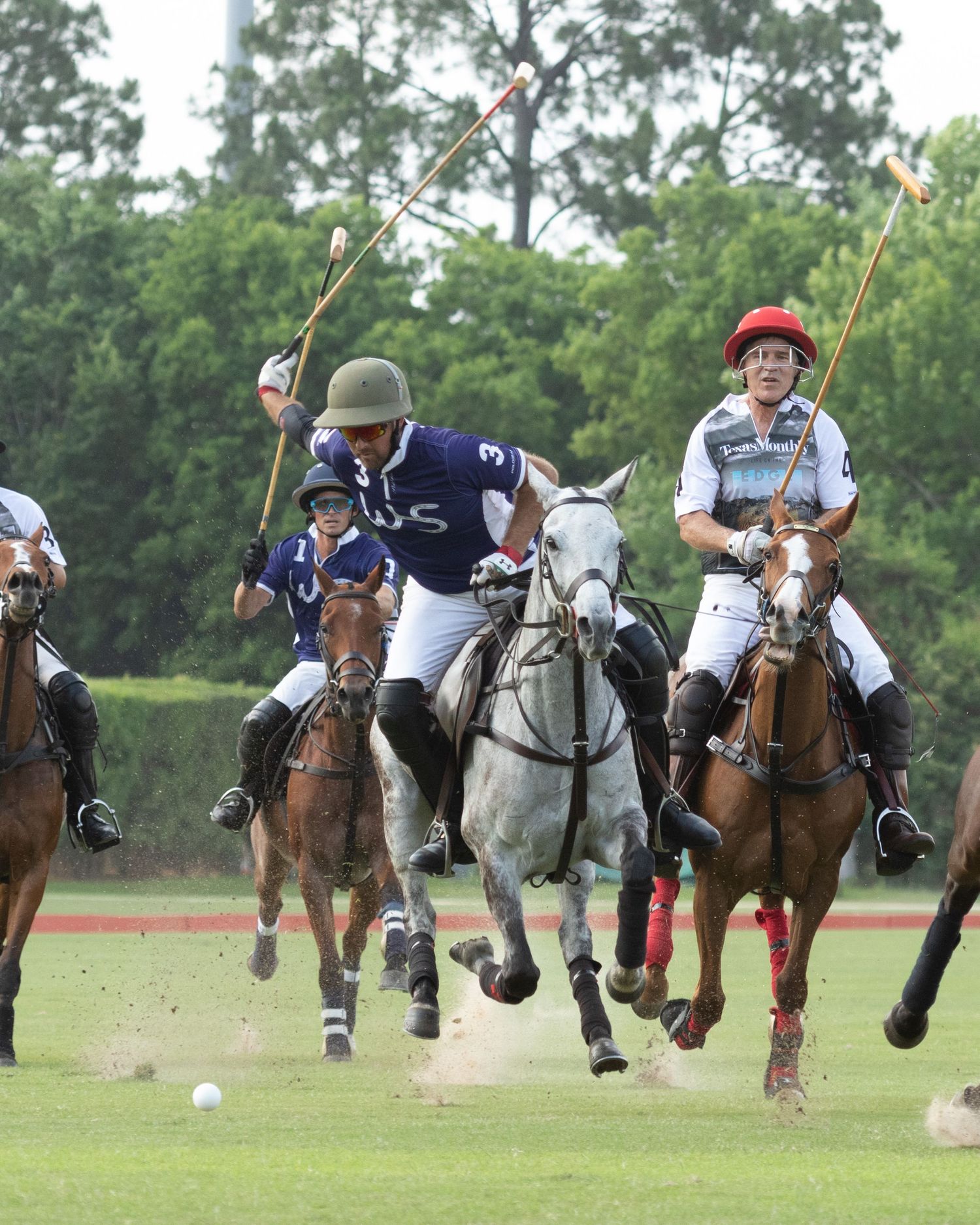 Polo