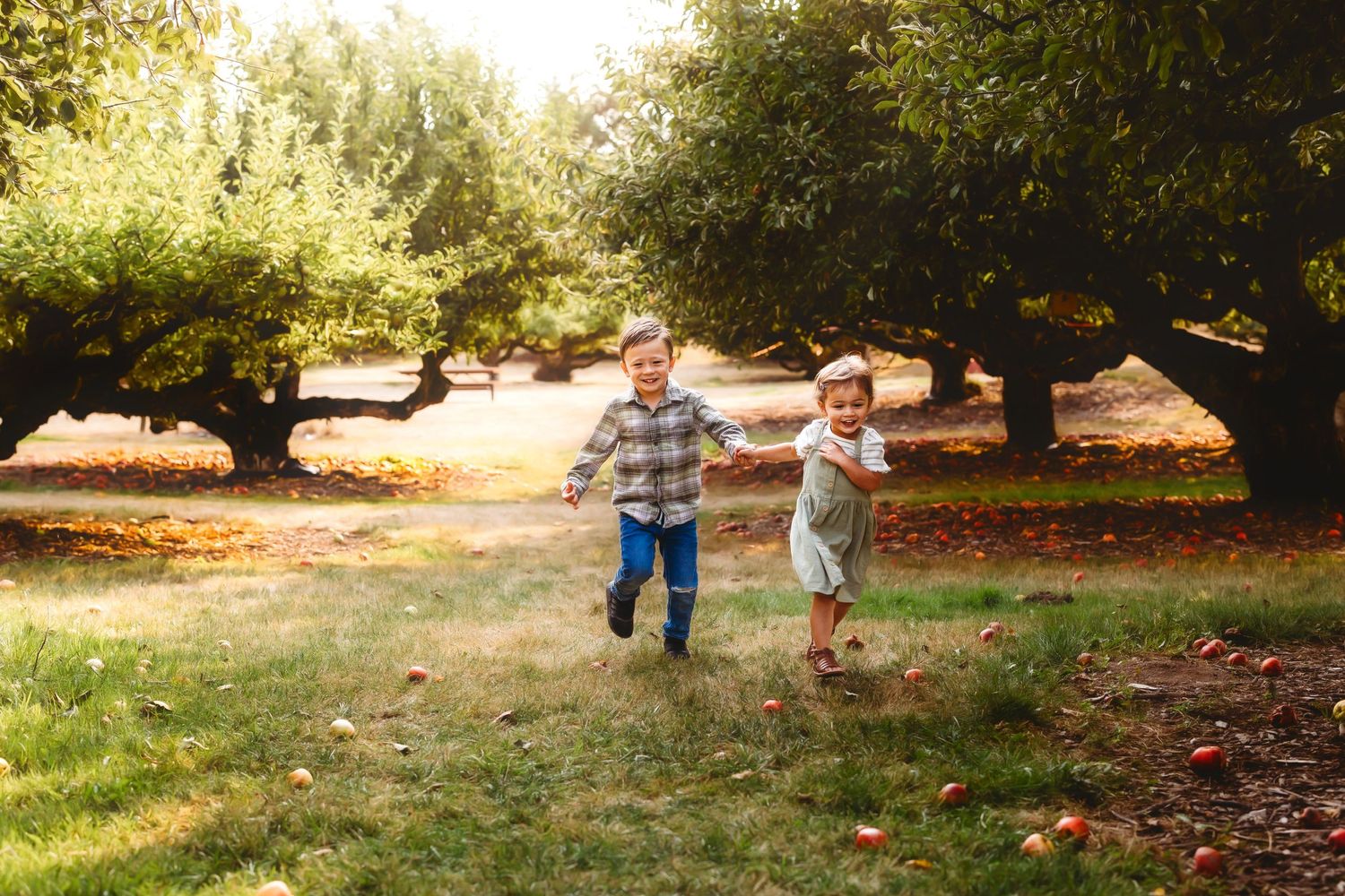 Two young children playing in an apple field for their photo session