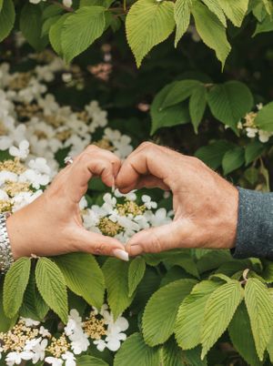 Verona Park Engagement Session