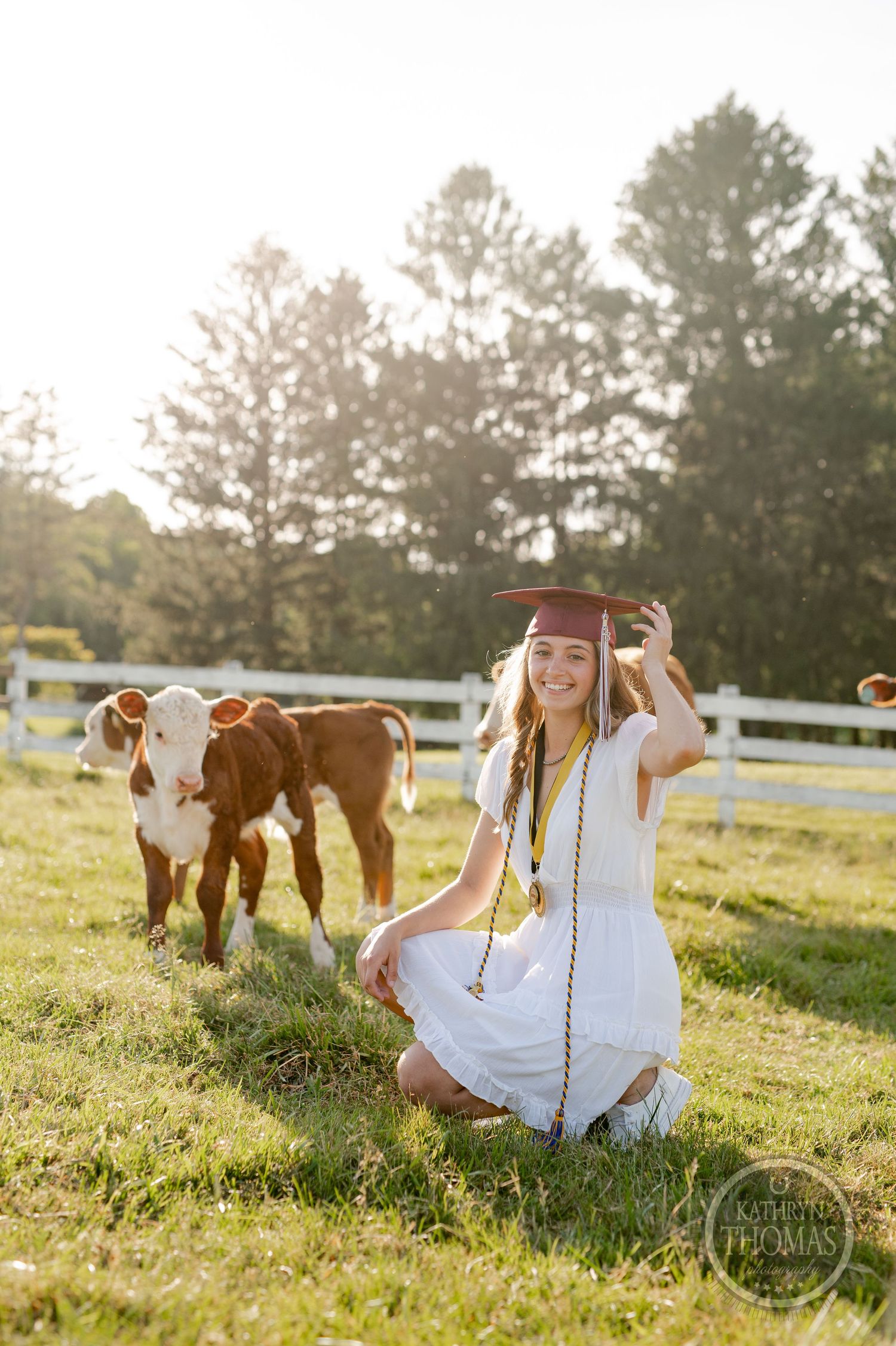 Graduate poses in pastoral setting with cows behind white fence during golden hour photography session.