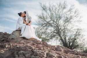 Wedding couple embraces on rocky desert overlook with wispy tree in background.