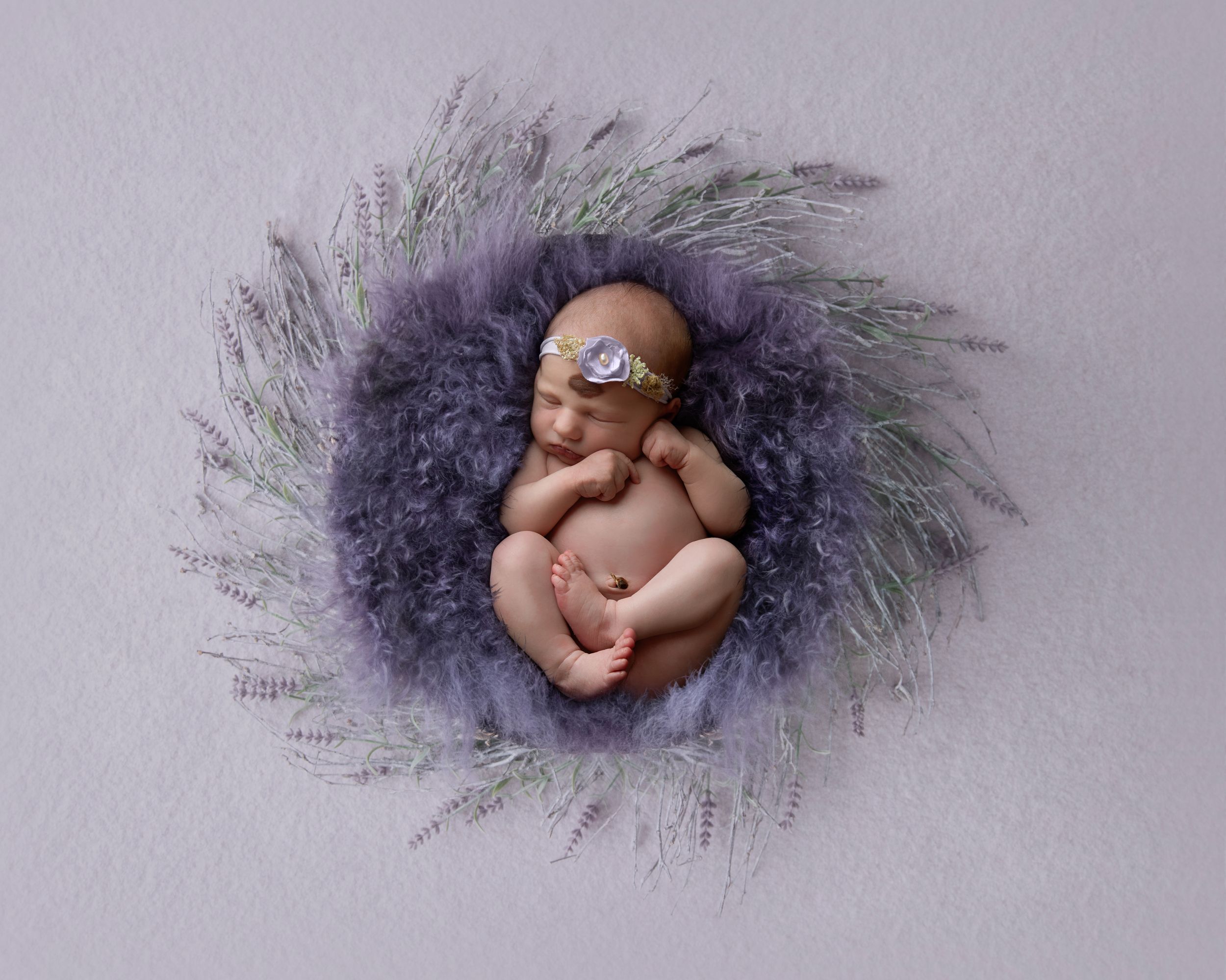 Newborn baby posed on purple backdrop surrounded by dried lavender sprigs.