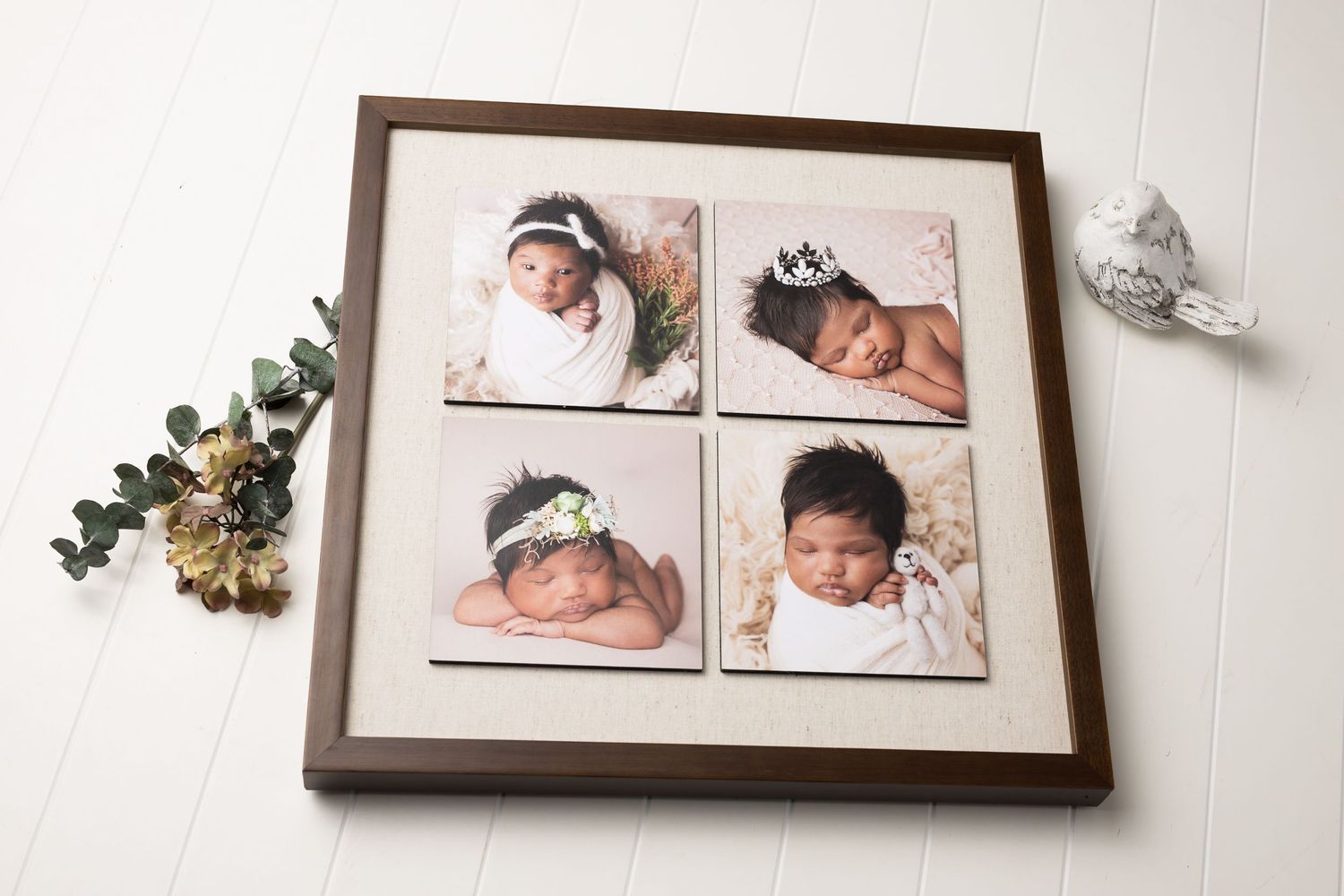 austin newborn photography framed standout collage