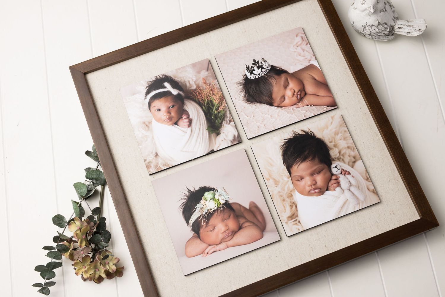 austin newborn photography framed standout collage detail