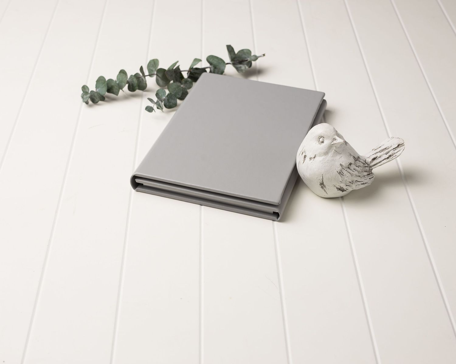 austin newborn photography gray European Triplex Folio 2