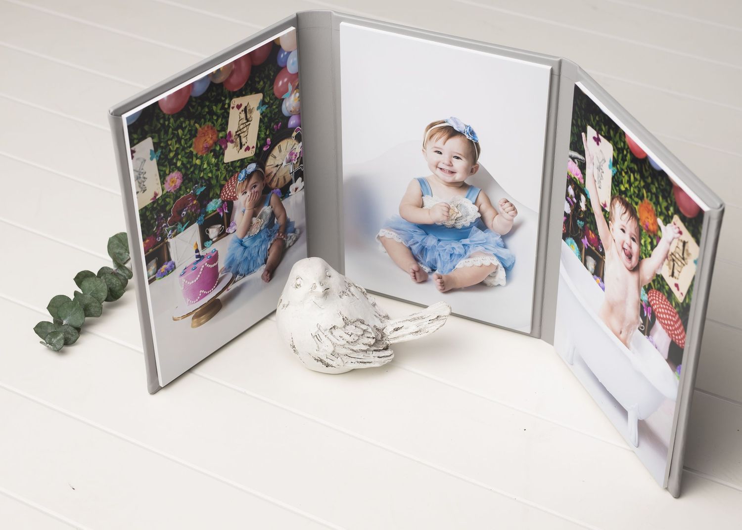 austin newborn photography gray European Triplex Folio 3