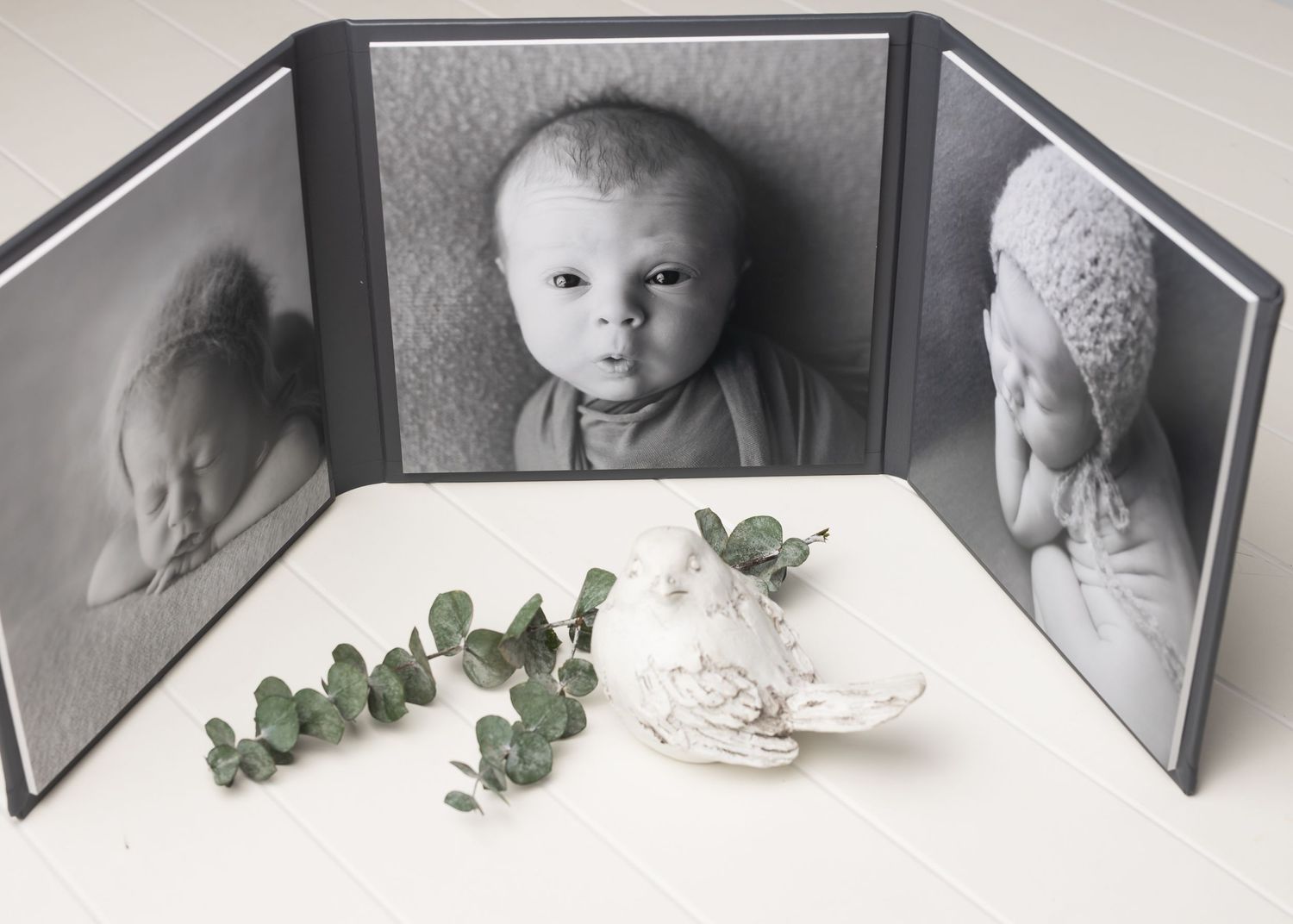 austin newborn photography gray European Triplex Folio square