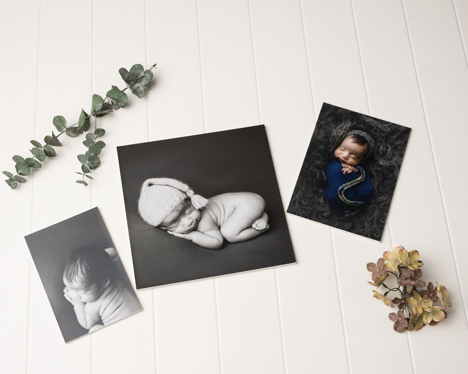 austin newborn photography fine prints